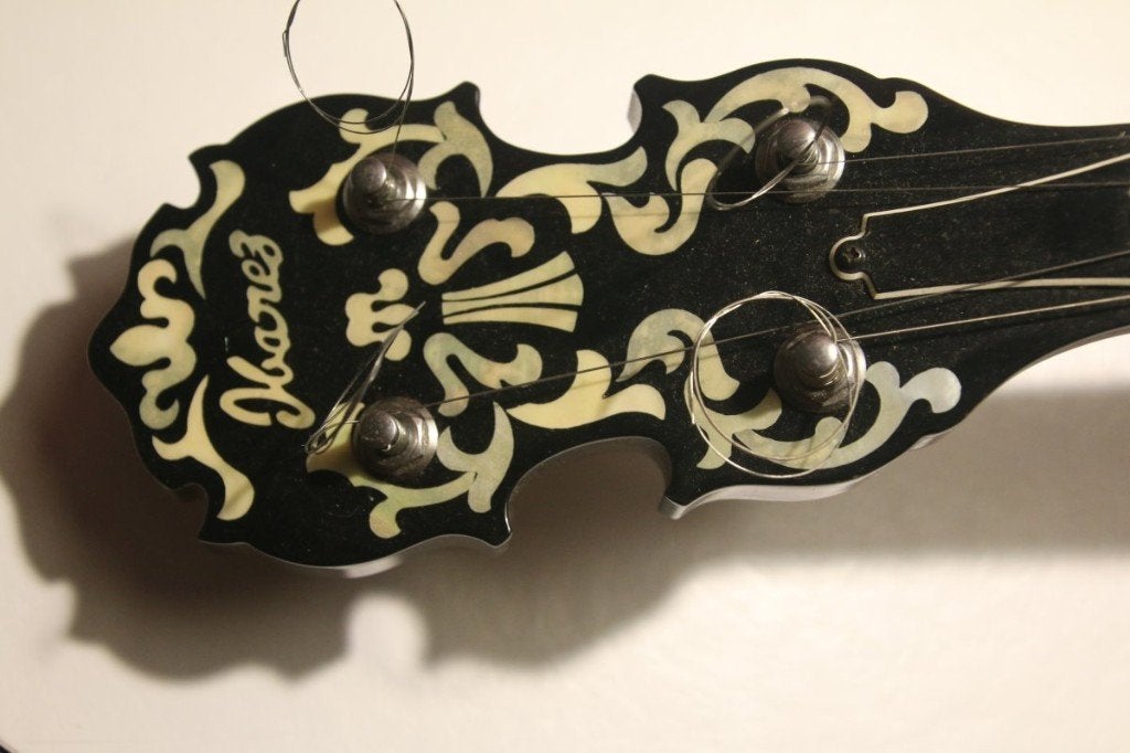 Ibanez Banjo, Muziek en Instrumenten, Ophalen of Verzenden, Gebruikt, Tenorbanjo