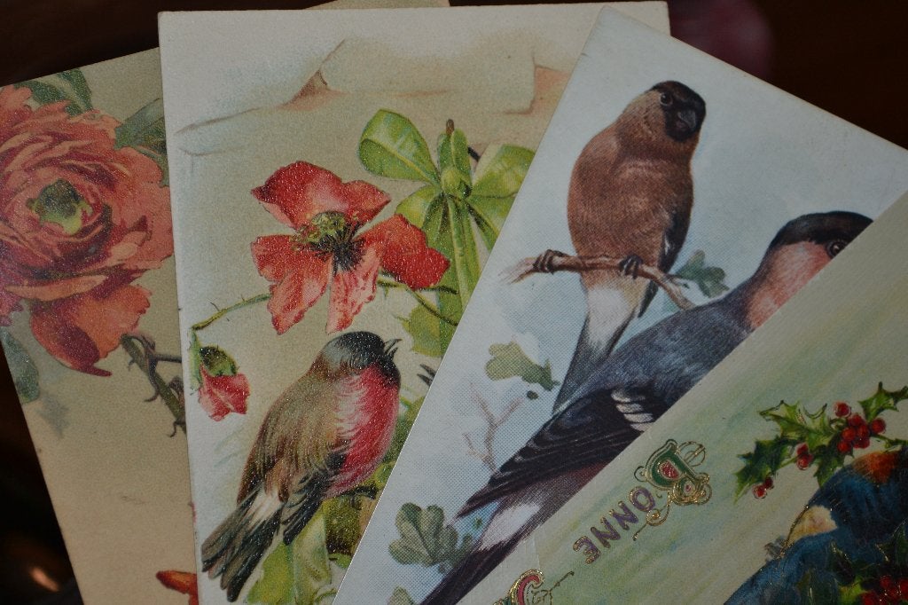 lot 1900 4 kaarten vogels zwaluw klaprozen, Ophalen of Verzenden, Voor 1920, Sterren en Beroemdheden