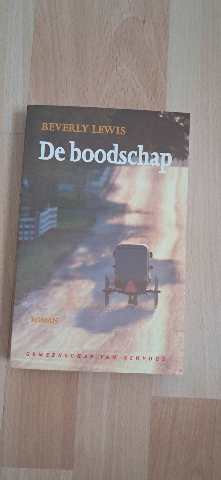De boodschap - Beverly Lewis (Roman), Boeken, Romans, Ophalen of Verzenden, Gelezen, Beverly Lewis, Amerika