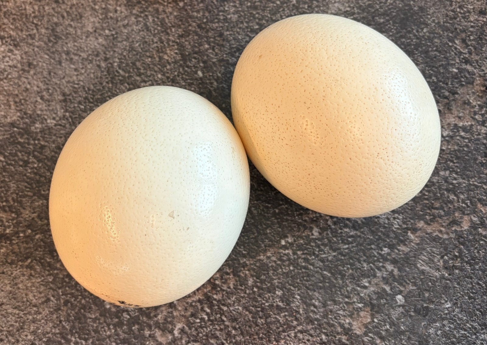 Struisvogel ei, Ophalen, Overige typen