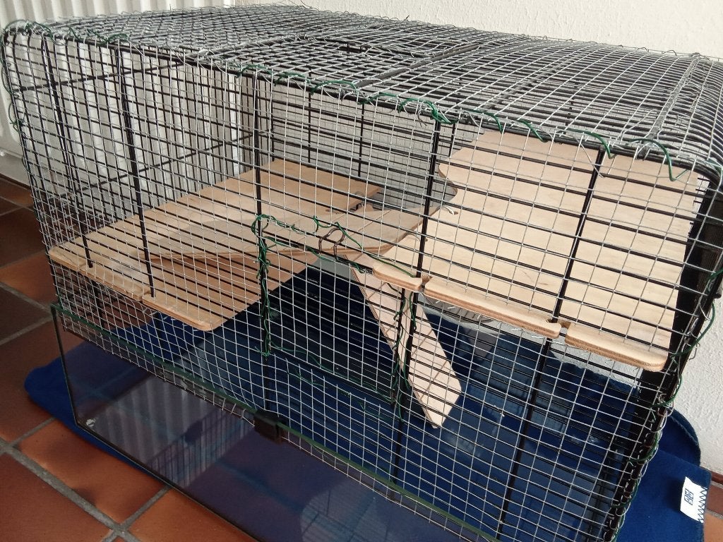 Glazen onderbak met tralies bovenkant voor dwerghamster/muis, Gebruikt, Minder dan 75 cm, Hok, Hamster