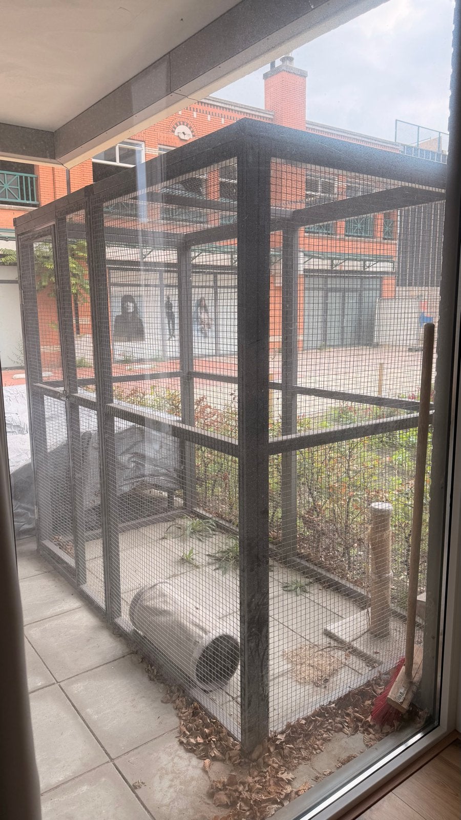 Kattenren, Dieren en Toebehoren, Ophalen, Gebruikt