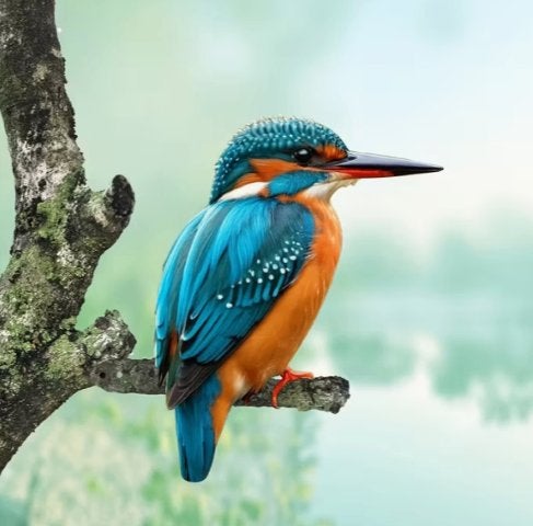 Boom/Muur decoratie IJsvogel metaal, Ophalen of Verzenden, Nieuw