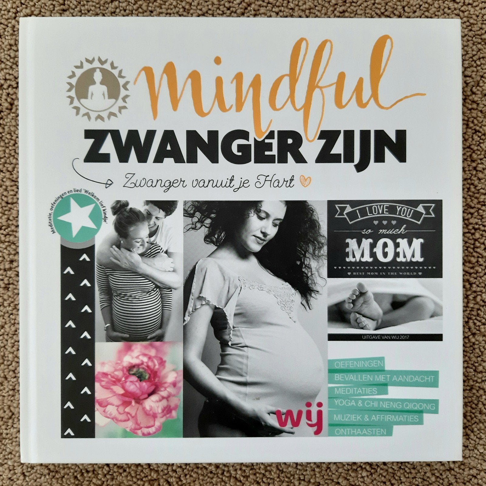 Mindful Zwanger Zijn - Zwanger vanuit je Hart van Yvon Tuint, Ophalen of Verzenden, Nieuw, Zwangerschap en Bevalling, Yvon Tuinte-Zwanenburg met Anna van Amsterdam.