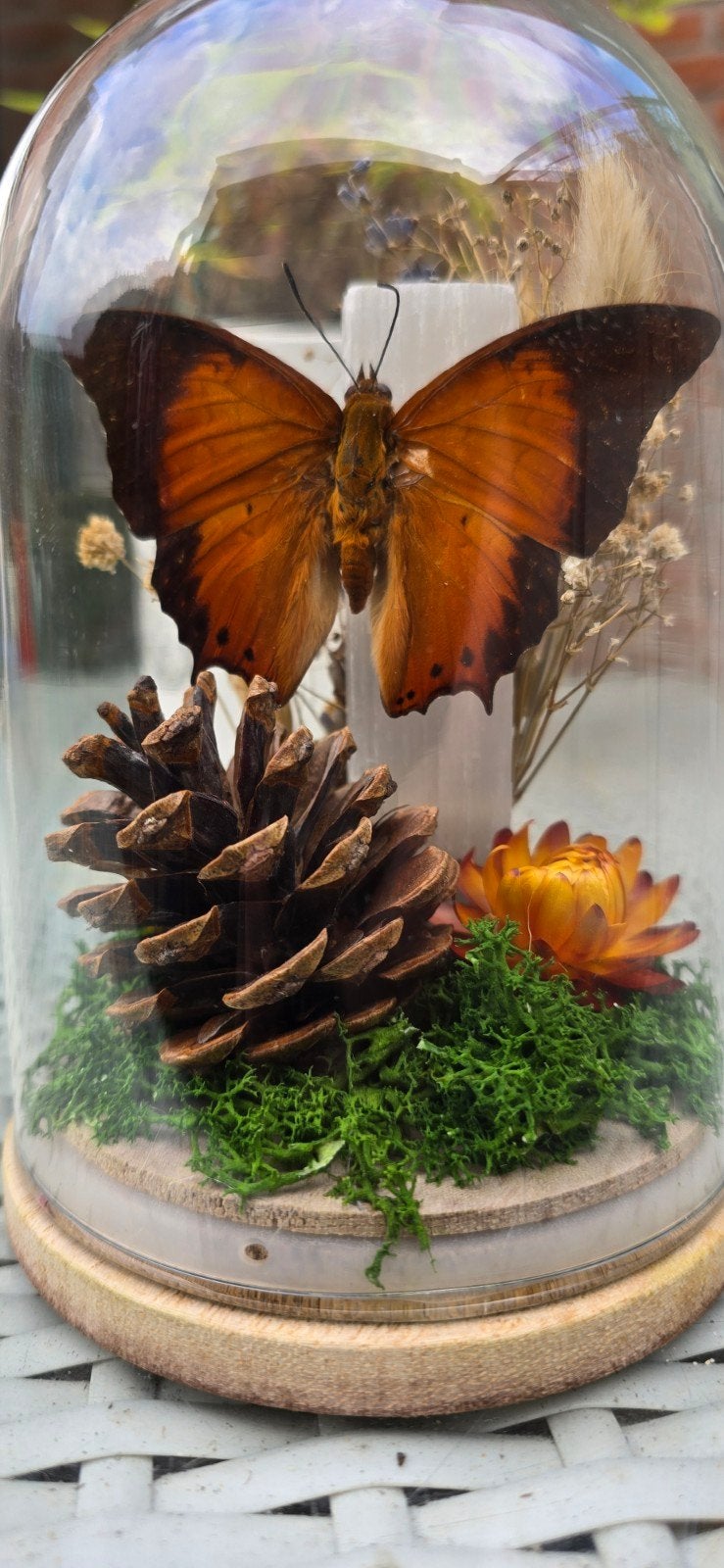 Stolp met mooie oranje vlinder op grote staaf Seleniet., Huis en Inrichting, Woonaccessoires | Stolpen, Nieuw, Ophalen