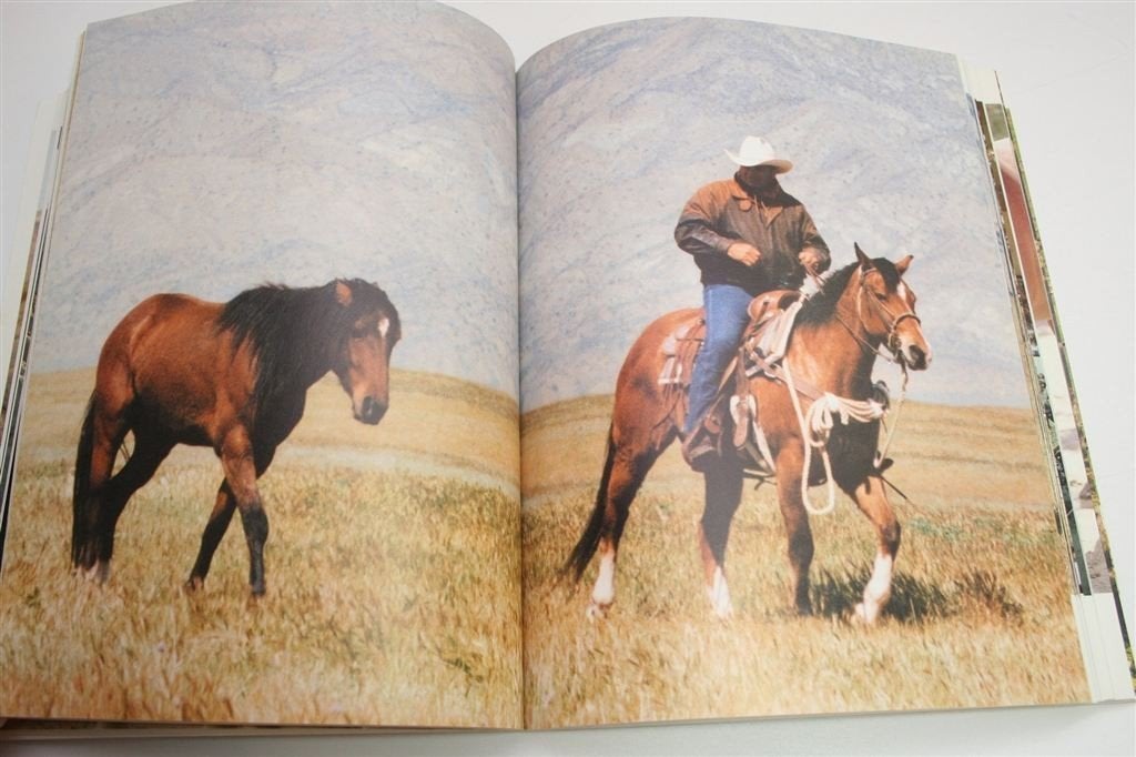 Monty Roberts\' Shy Boy — Mustang uit de Wildernis, Boeken, Ophalen of Verzenden, Zo goed als nieuw