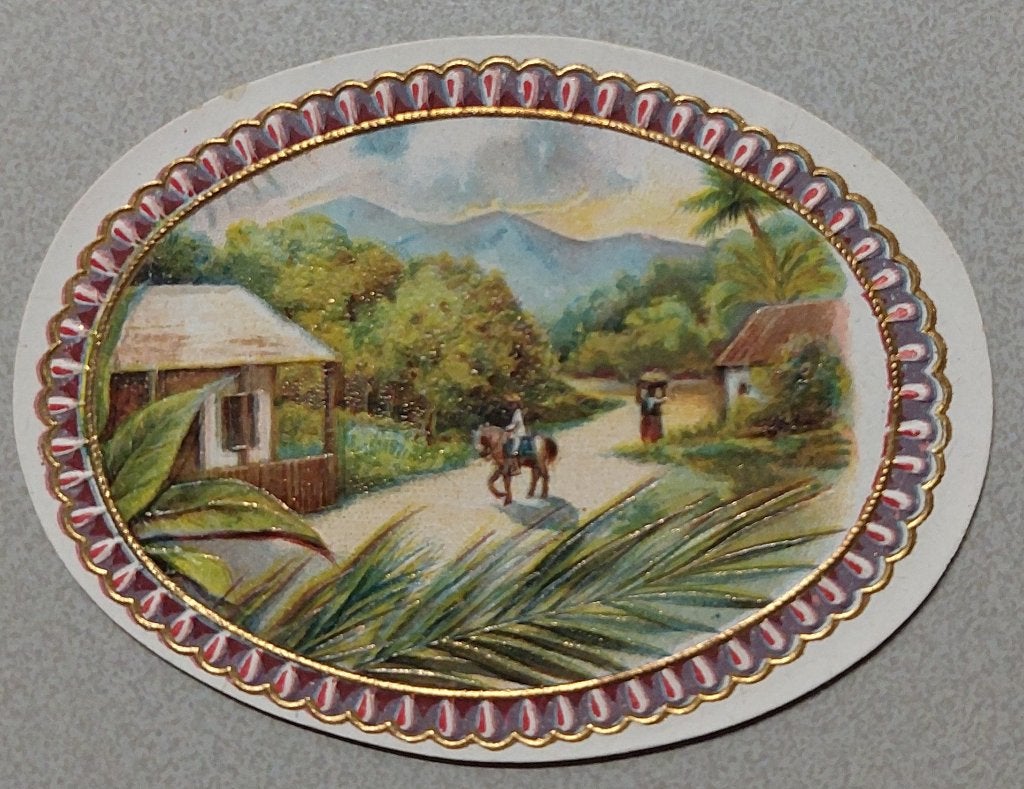 Sigarenbandjes, Ophalen of Verzenden, Sigarenbandjes