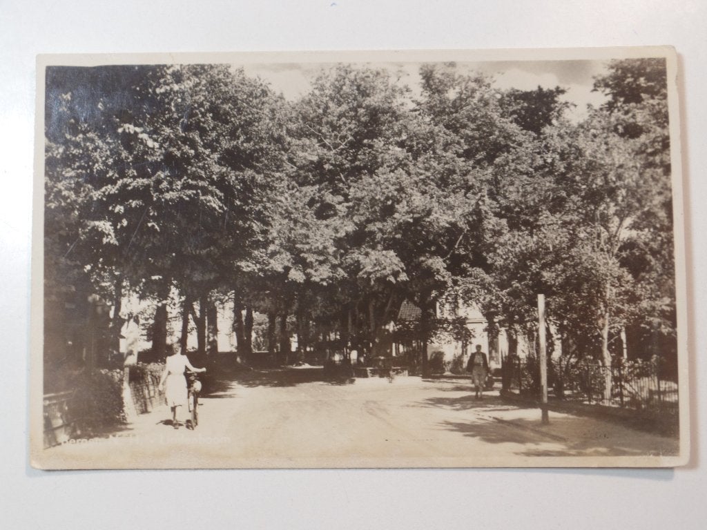 Bergen NH, Ophalen of Verzenden, Voor 1920, Gelopen, Noord-Holland
