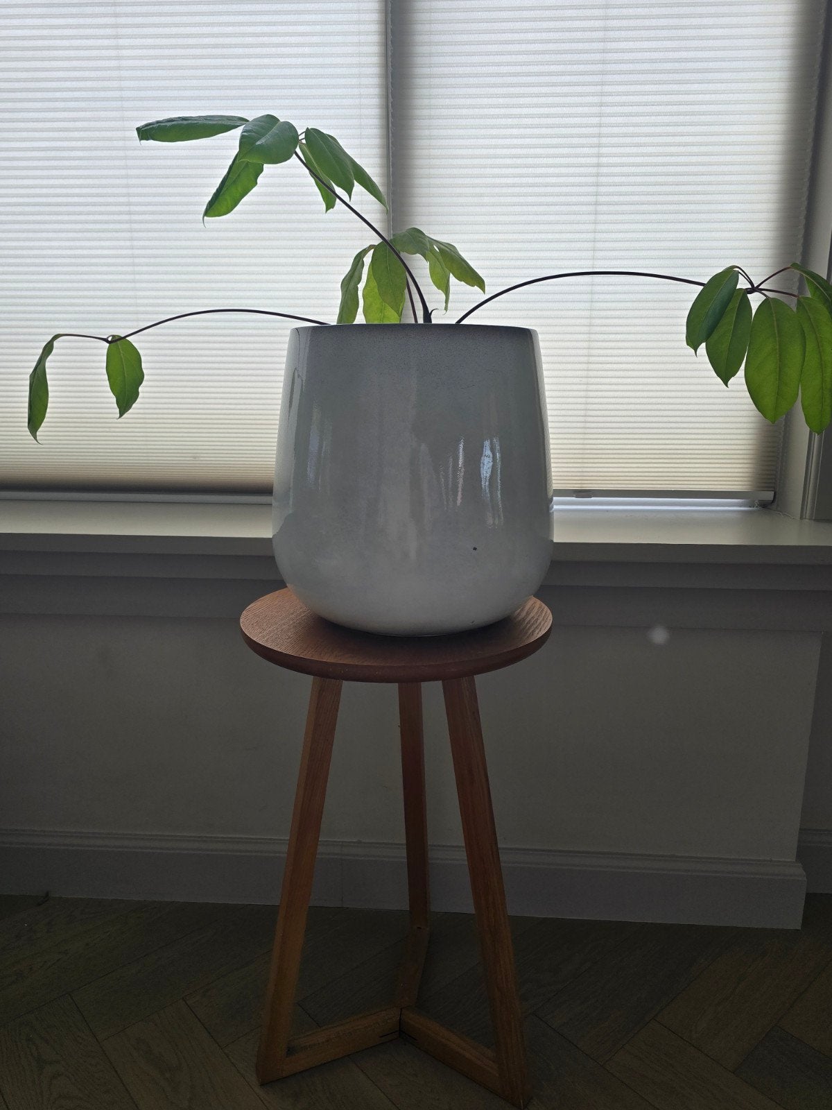 mooie hoogglans pot, Ophalen