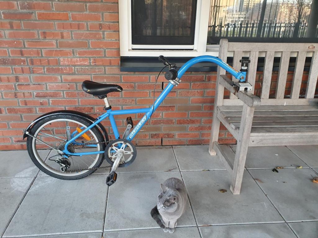 Burley aanhangfiets, Fietsen en Brommers, Ophalen, Gebruikt, Aanhangfiets, Burley