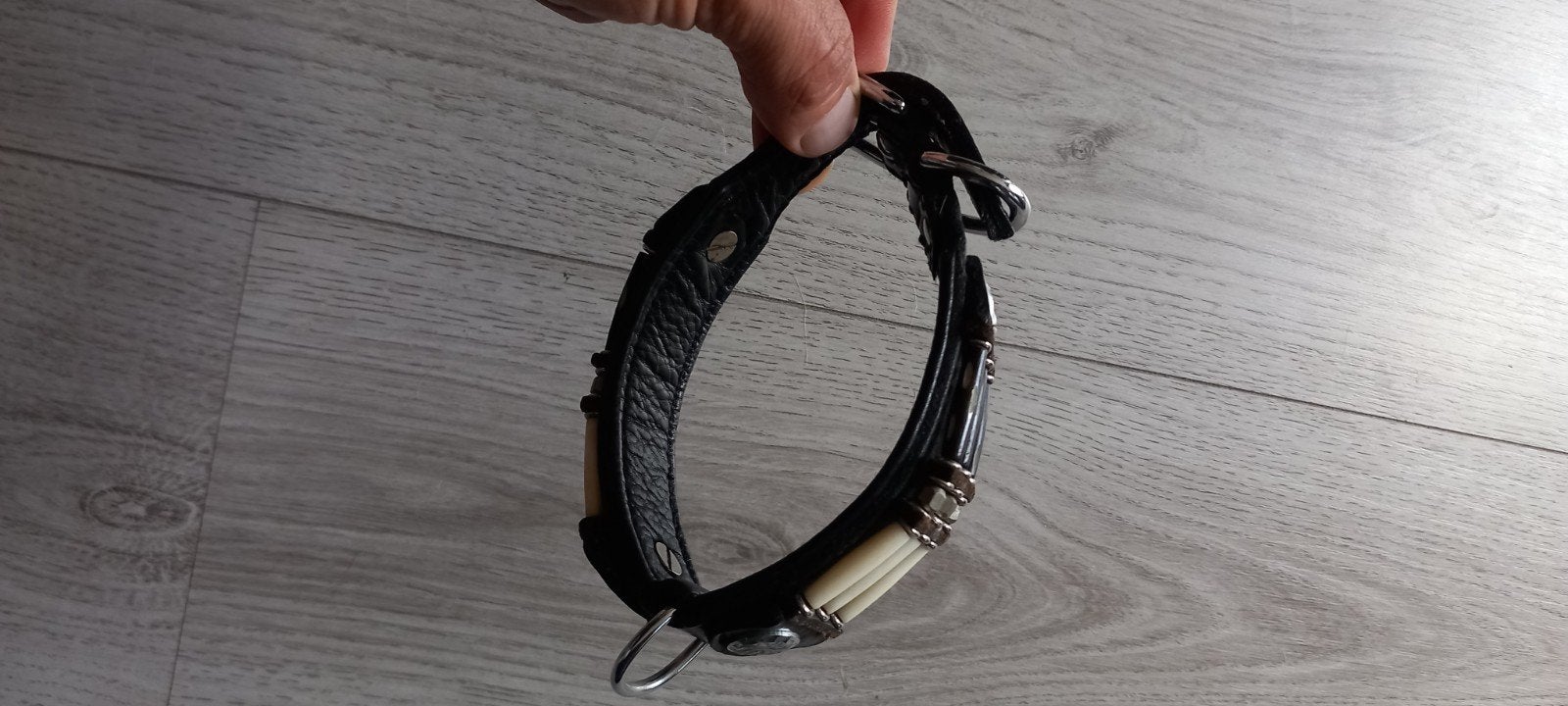 Honden halsband, Ophalen of Verzenden, Nieuw