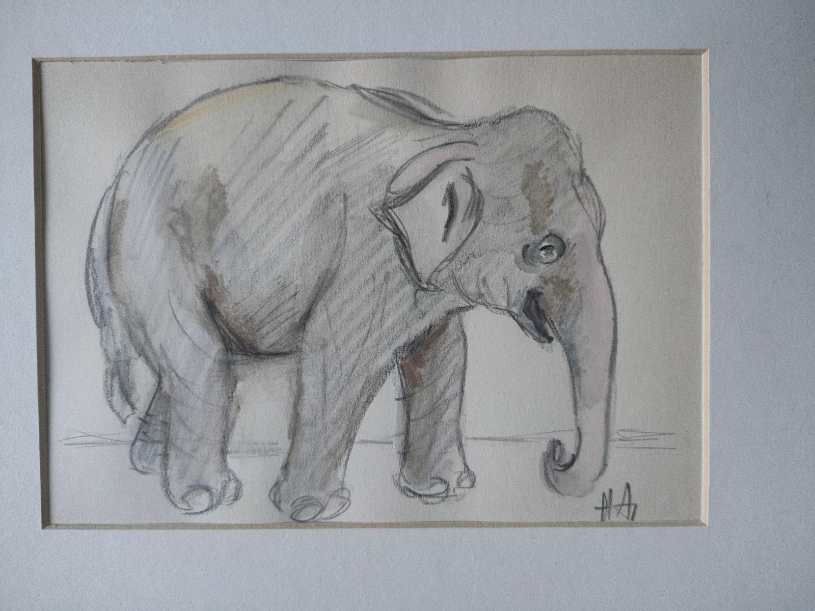 Ingelijste olifant tekening, Verzenden, Tekening, Potloodtekening, Achter glas