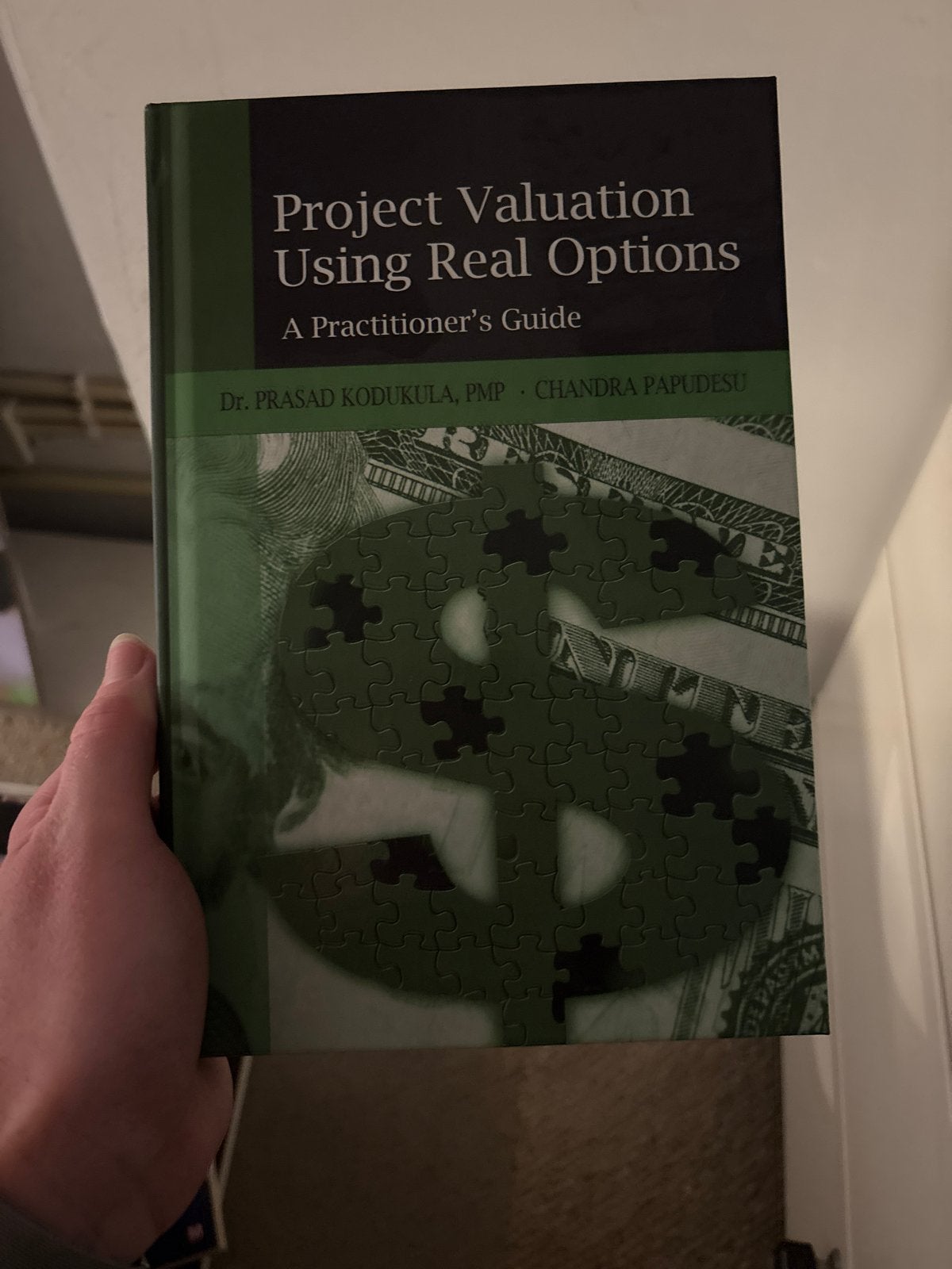 Project Valuation Using Real Options - A Practitioner's Guid, Ophalen of Verzenden, Zo goed als nieuw, Geld en Beleggen