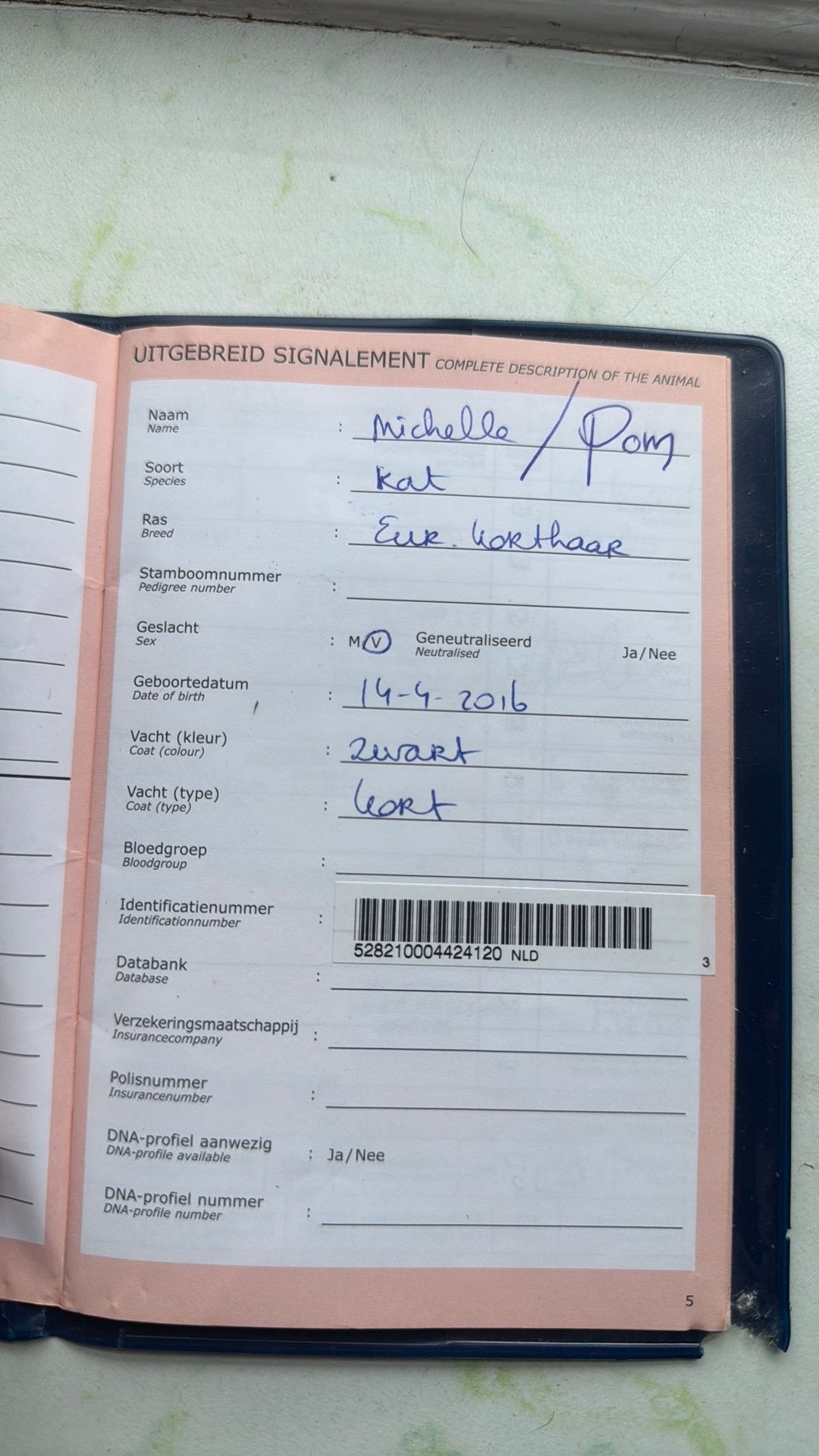 Goed tehehuis gezocht voor 1of 2 lieve  poezen 6 en 10, Poes, Ingeënt, 6 jaar of ouder