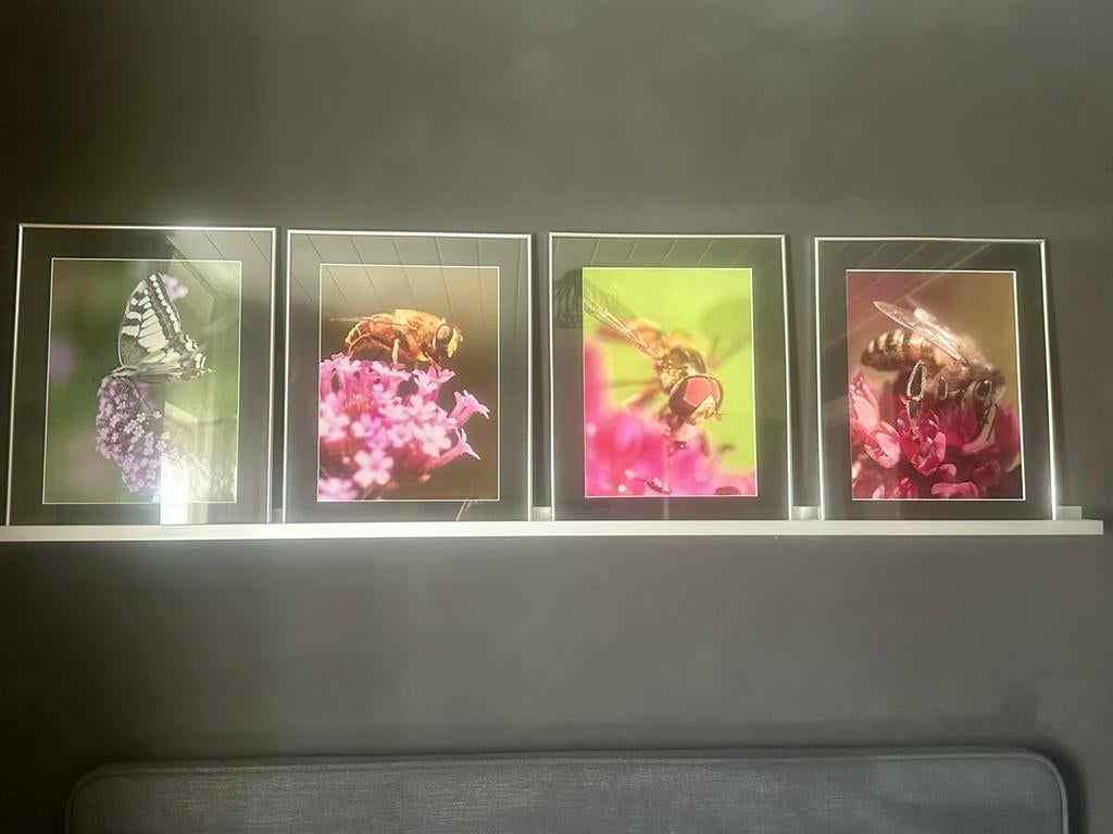 Luxe Aluminium Schilderijrails / Fotoplanken + Clips, Ophalen, Gebruikt