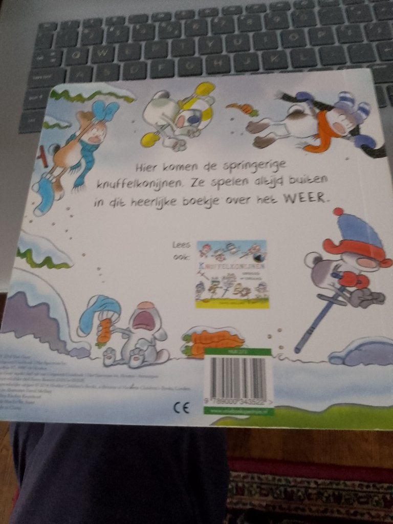 boek knuffelkonijnen  regen en zonneschijn david melling, Boeken, Ophalen, Zo goed als nieuw