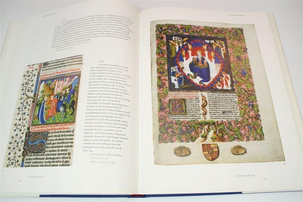 Praal, Ernst & Emotie — Franse Middeleeuwse Handschriften, Boeken, Kunst en Cultuur | Beeldend, Ophalen of Verzenden, Zo goed als nieuw