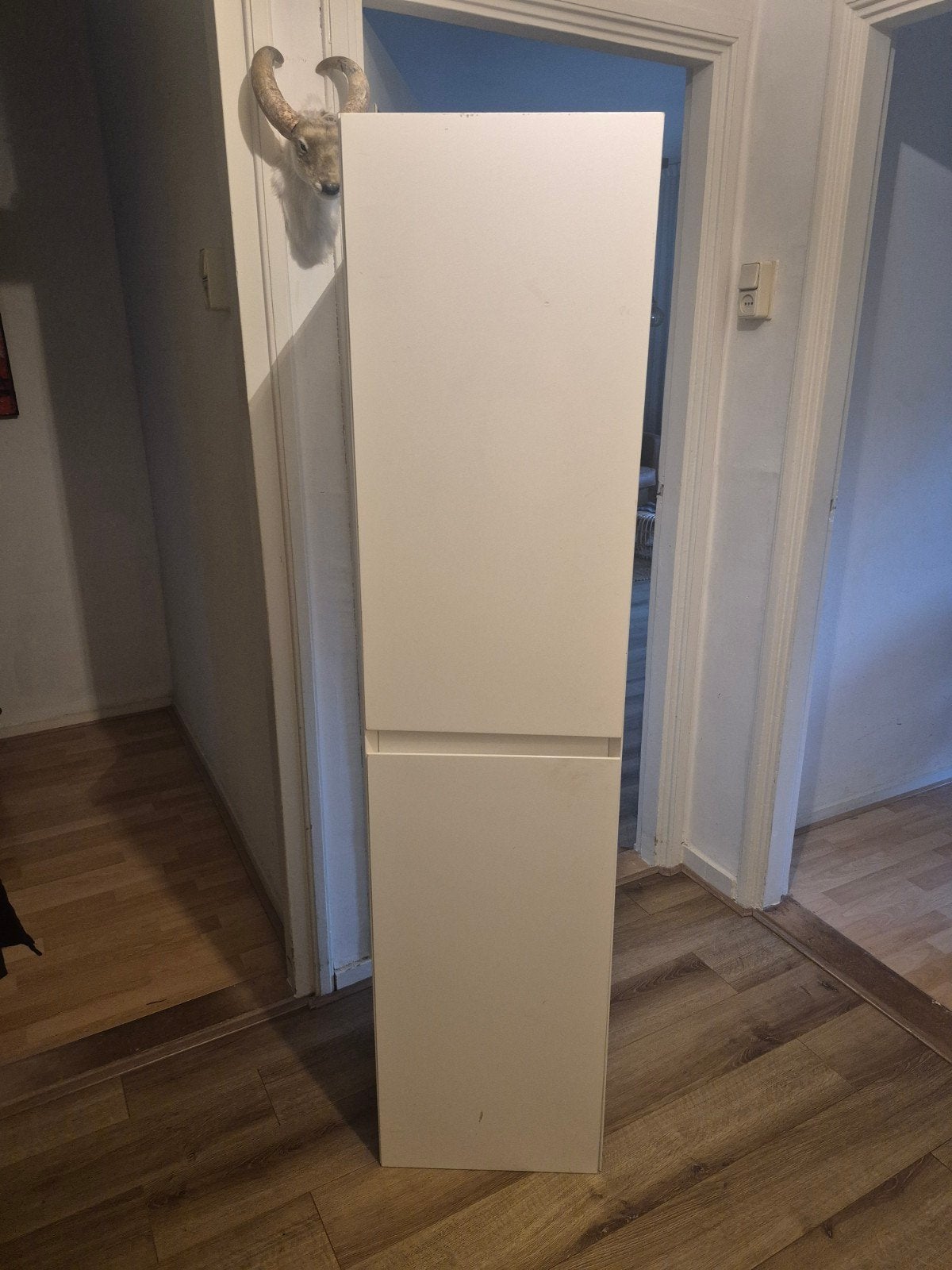 Witte hoogglans kast met twee deuren, Ophalen of Verzenden, Gebruikt