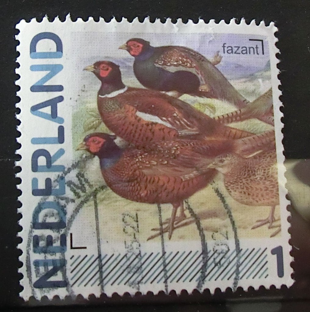 persoonlijke postzegel, Vogels, gest (lees aub), Ophalen of Verzenden, Na 1940, Gestempeld