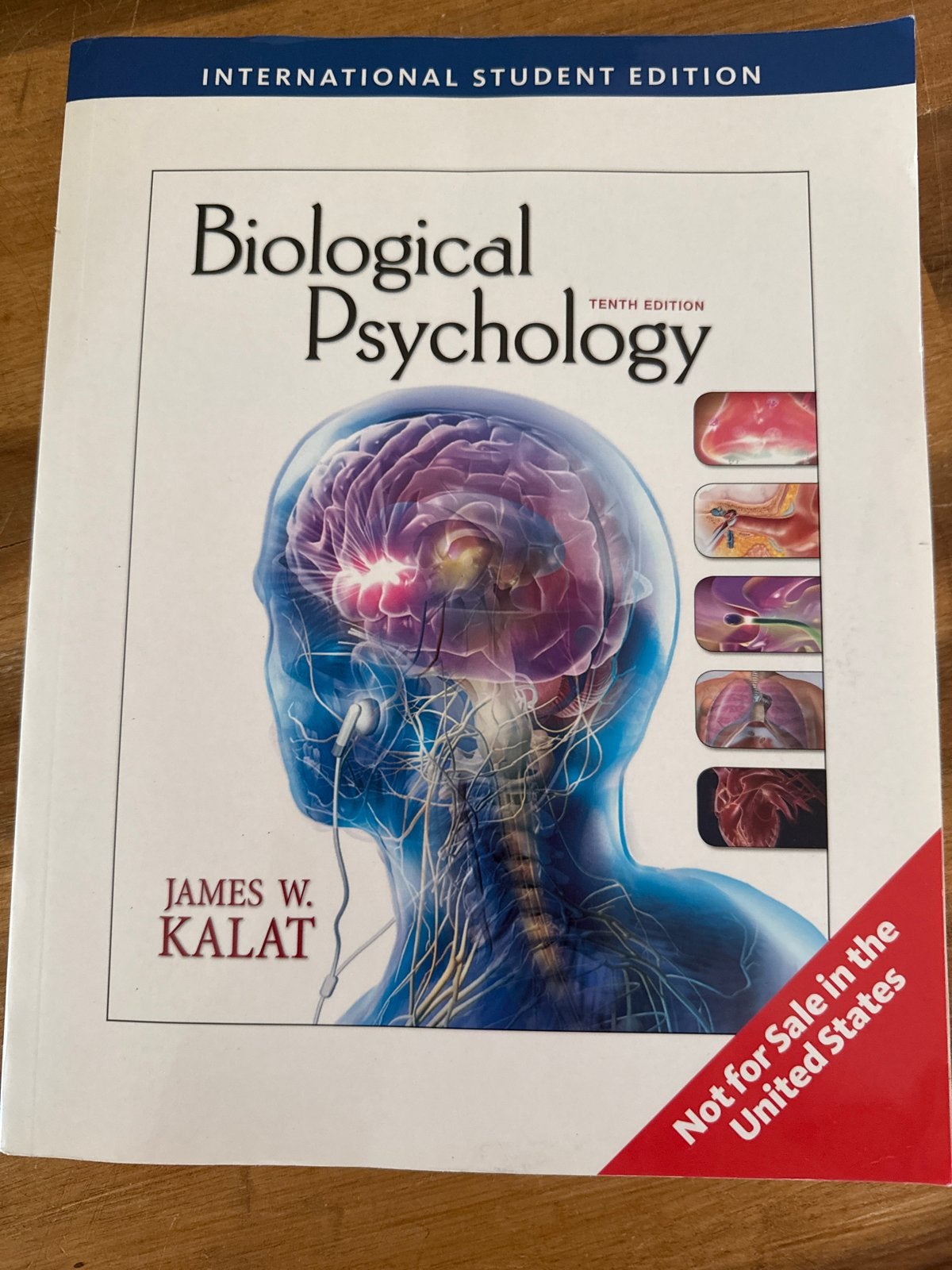 Biological Psychology - James W. Kalat (Tiende Editie), Ophalen of Verzenden, Gamma, Zo goed als nieuw, HBO