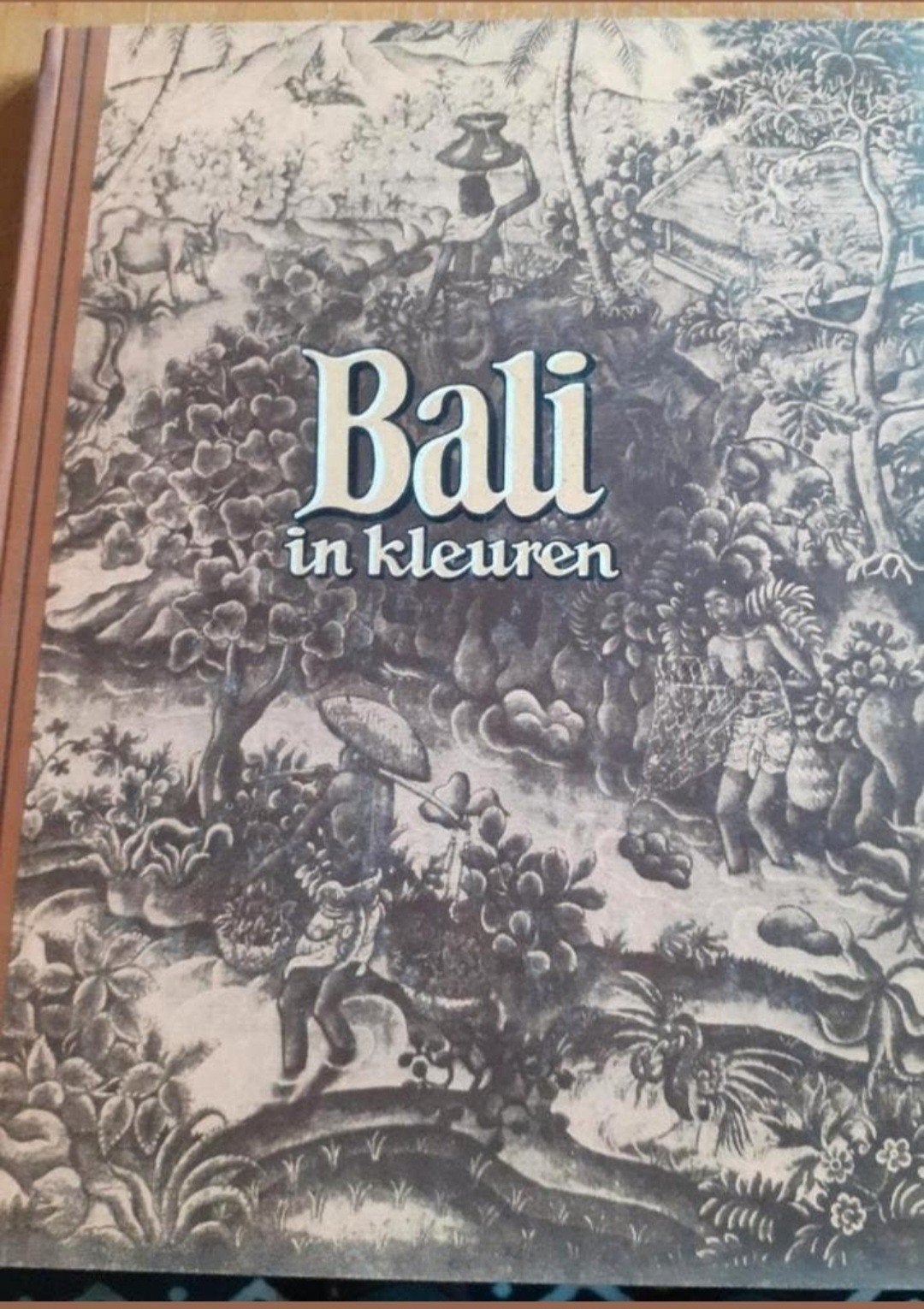 Bali in Kleuren - Douwe Egberts (1953), Boeken, Prentenboeken en Plaatjesalbums, Gelezen, Ophalen of Verzenden