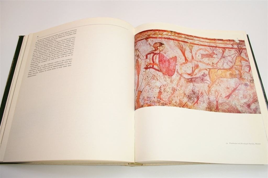 Cultuurgeschiedenis van Jacht & Wildbeheer [Vintage 1978], Ophalen of Verzenden, Gelezen, Katten