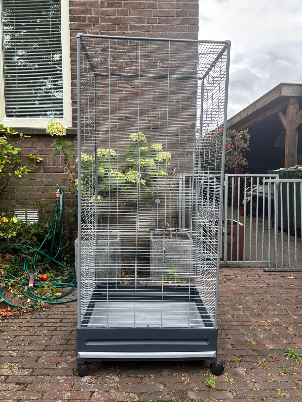 Ruime vogelkooi, Dieren en Toebehoren, Vogels | Hokken en Kooien, Ophalen, Gebruikt, Overige materialen, Vogelkooi