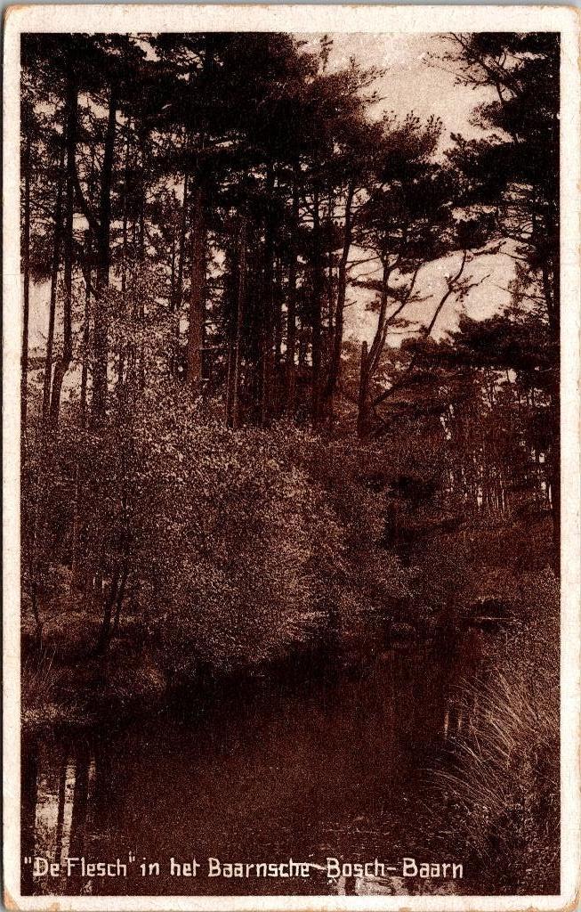 Baarn - De Flesch in het Baarnsche Bosch (1930), Verzamelen, Ansichtkaarten | Nederland, Gelopen, Utrecht, 1920 tot 1940, Verzenden