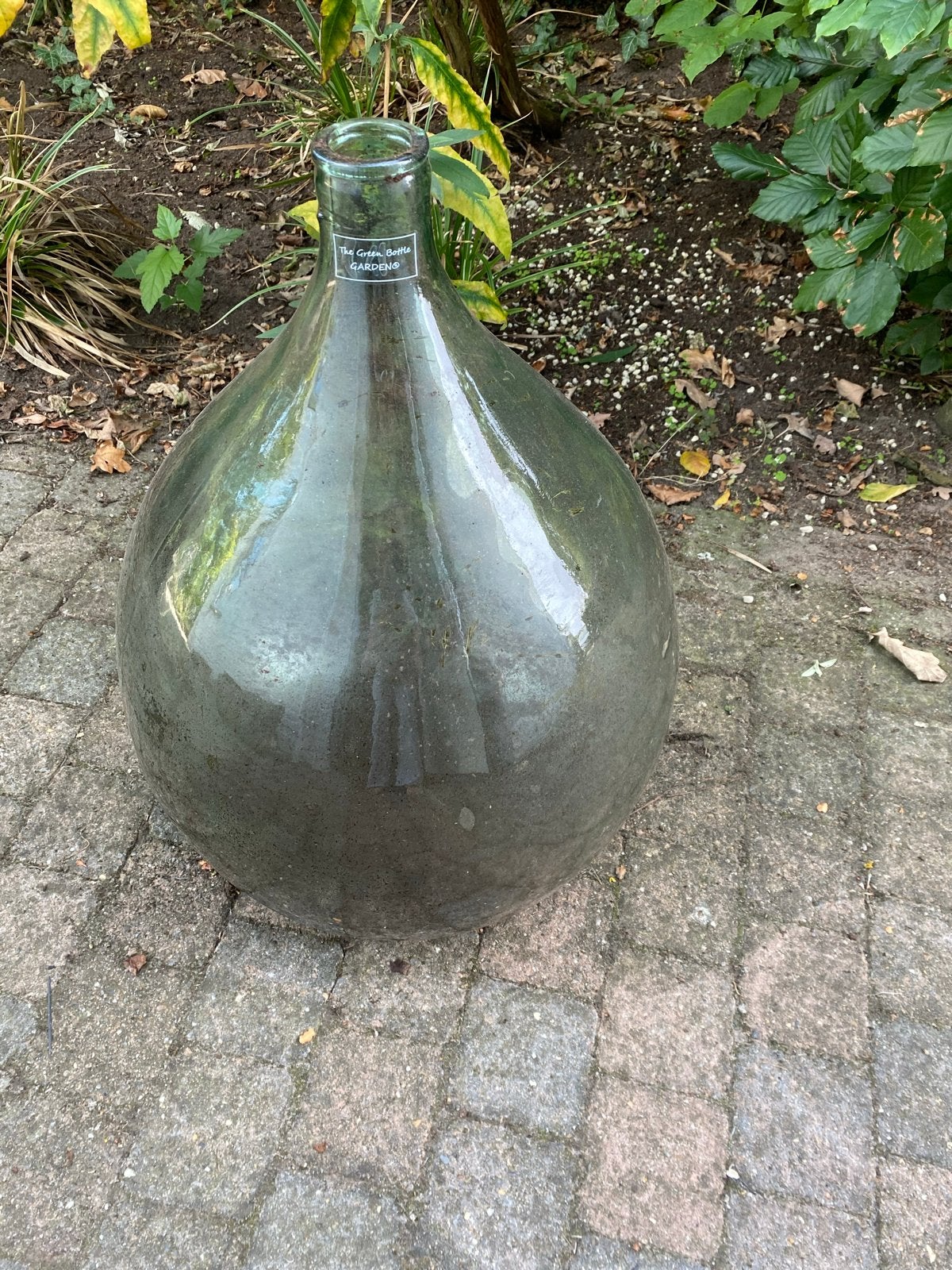 Grote glazen fles / vaas - The Green Bottle Gardens, Ophalen, Gebruikt, Groen, Glas