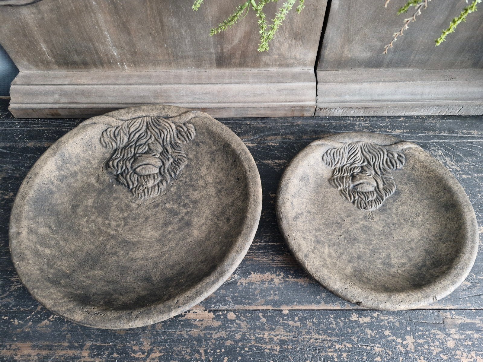 Brynxz. Set of 2 Plates Scotty Majestic Brown, ., Nieuw, Ophalen of Verzenden, Landelijk