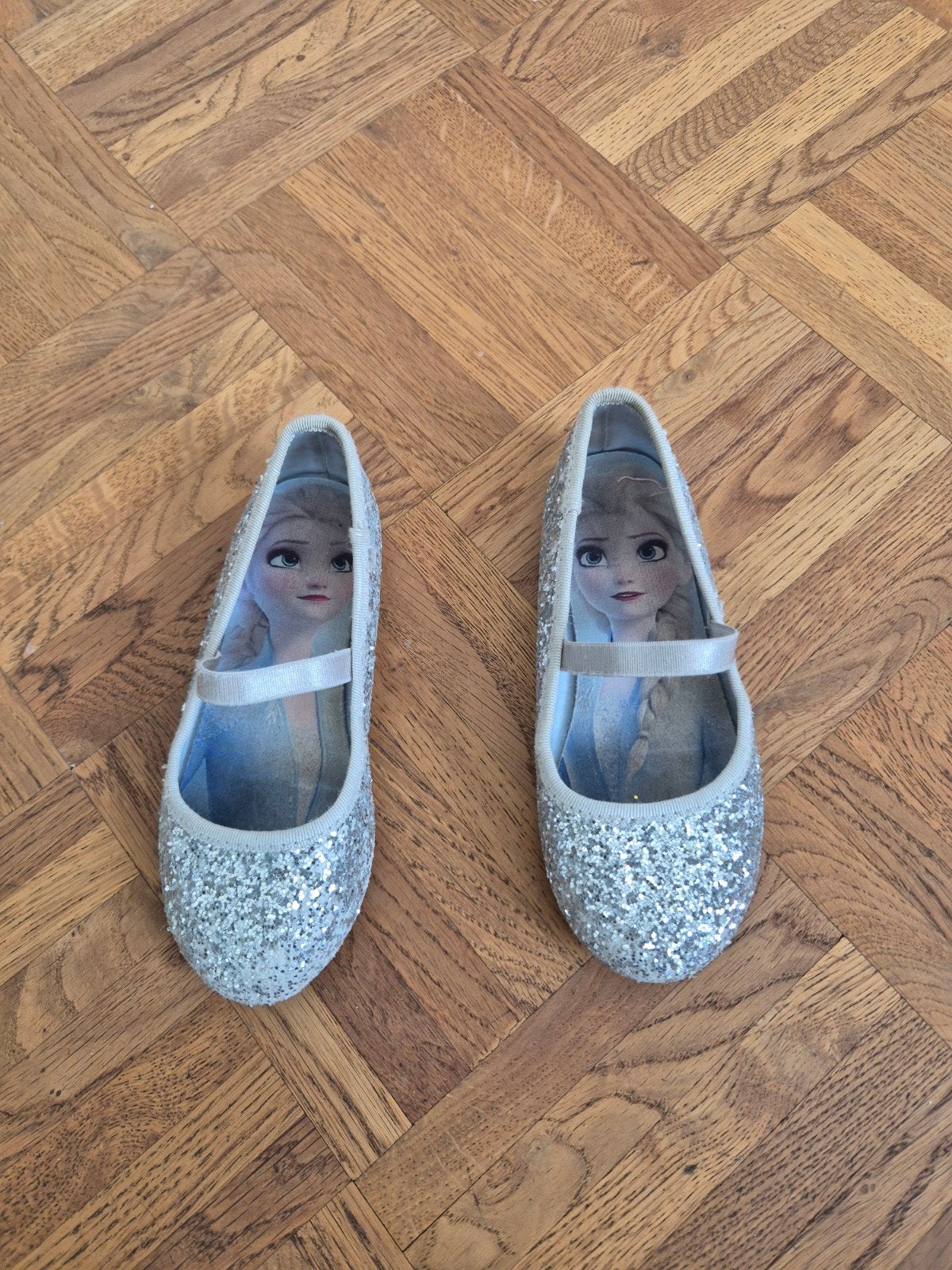 Frozen Elsa Ballerina Schoenen Maat 27 - Platte Schoenen, Ophalen of Verzenden, Meisje, Schoenen