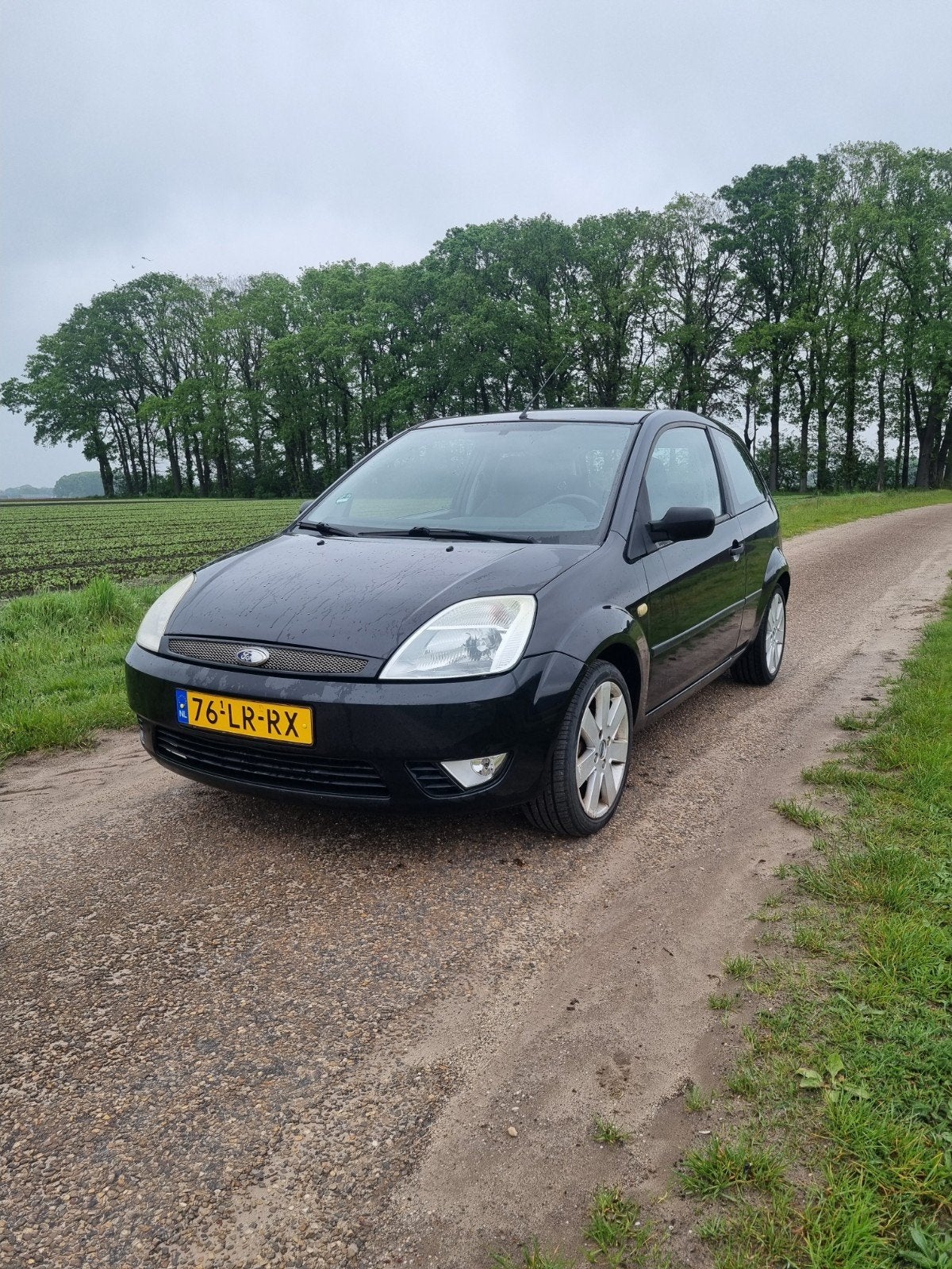 Ford Fiësta 1.6 16V 3DR 2003 Zwart, Auto's, Voorwielaandrijving, 1596 cc, 40 €/maand, 4 cilinders