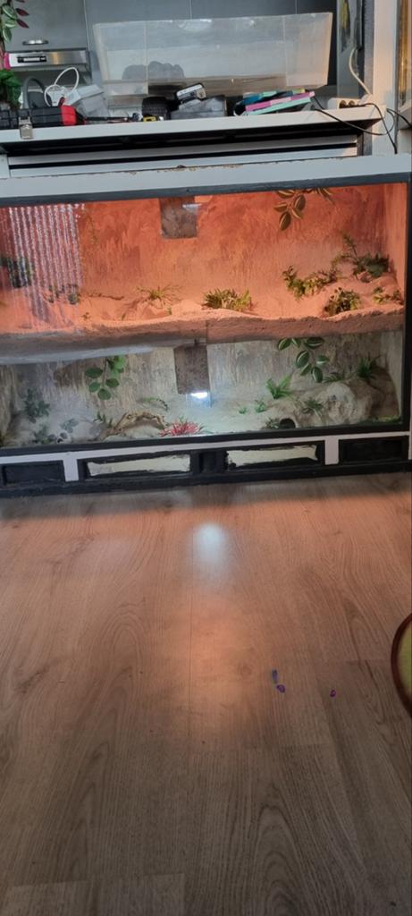 Terrarium GRATIS, Ophalen of Verzenden