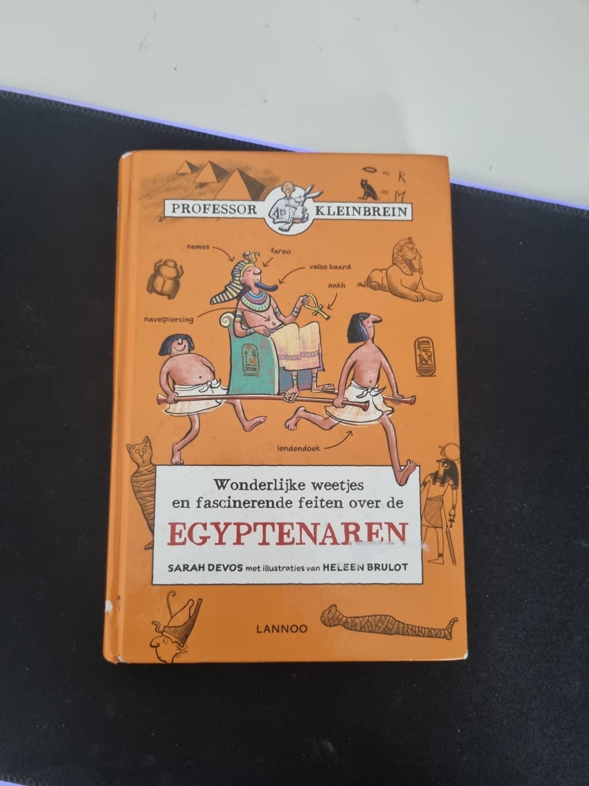 Professor Kleinbrein: Wonderlijke weetjes over Egyptenaren, Afrika, Ophalen of Verzenden, Sarah Devos, 20e eeuw of later