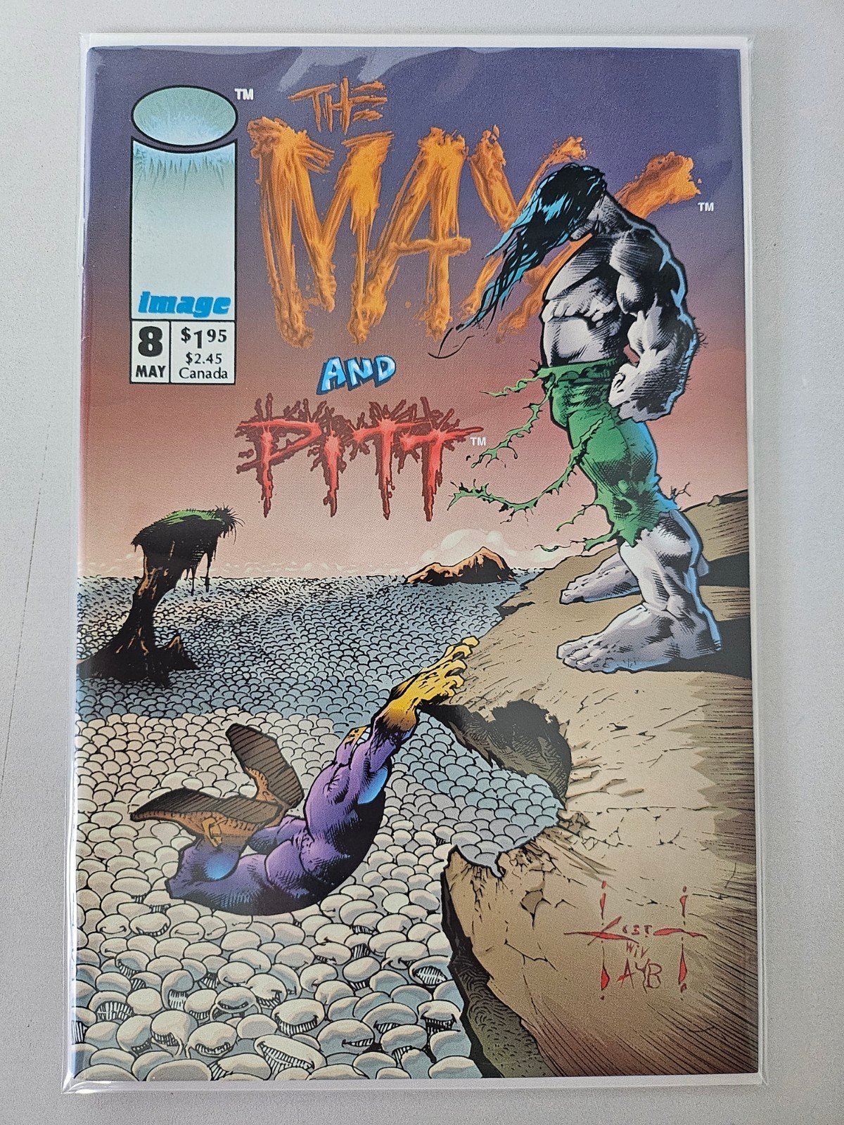 The Maxx #8 (Comics), Meerdere comics, Ophalen of Verzenden, Zo goed als nieuw, Amerika