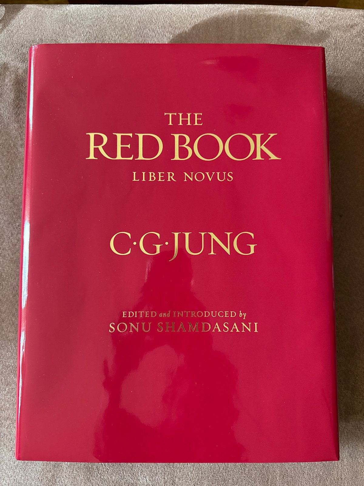 Luxe editie The Red Book Liber Novus - C.G. Jung (Hardcover), Ophalen of Verzenden, Zo goed als nieuw, Klinische psychologie