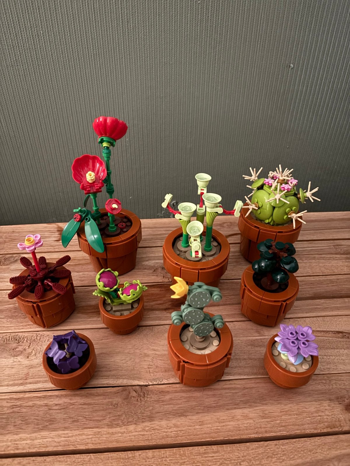 Lego Botanische Collectie - Diverse Planten en Bloemen, Ophalen, Overige thema's, Lego, Zo goed als nieuw
