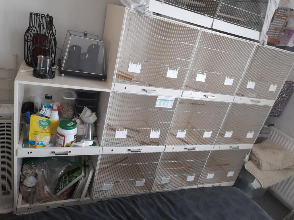Mooie broedkast, Dieren en Toebehoren, Vogels | Hokken en Kooien, Ophalen, Zo goed als nieuw, Hout, Vogelkooi