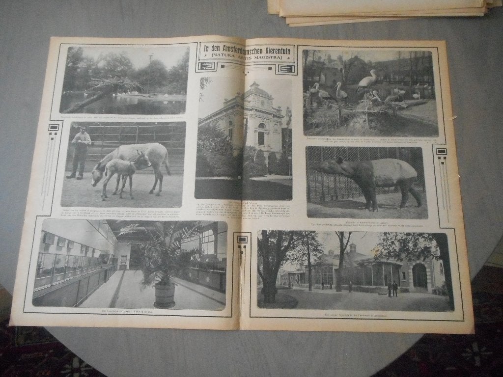 Artis. In den Amsterdamschen Dierentuin. 1909., Ophalen of Verzenden, Voor 1920, Nederland, Knipsel(s)