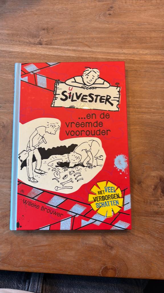 boek sulverster, Boeken, Ophalen of Verzenden, Fictie algemeen