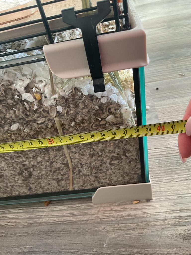 Hamster kooi, Kooi, Minder dan 75 cm, Zo goed als nieuw, Hamster