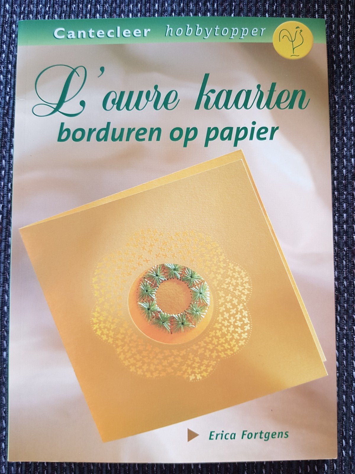 E. Fortgens l'ouvre kaarten borduren op papier nieuw exempl, Ophalen of Verzenden, Nieuw, Scrapbooking en Knutselen, Erica fortgens