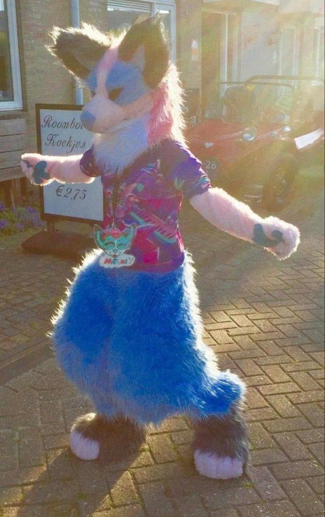 Unieke Full body Fursuit - Blauw, Roze & Grijs, Ophalen of Verzenden, Gebruikt, Overige typen