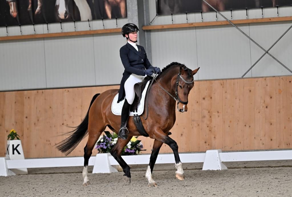 Ervaren instructeur aangeboden les dressuurles