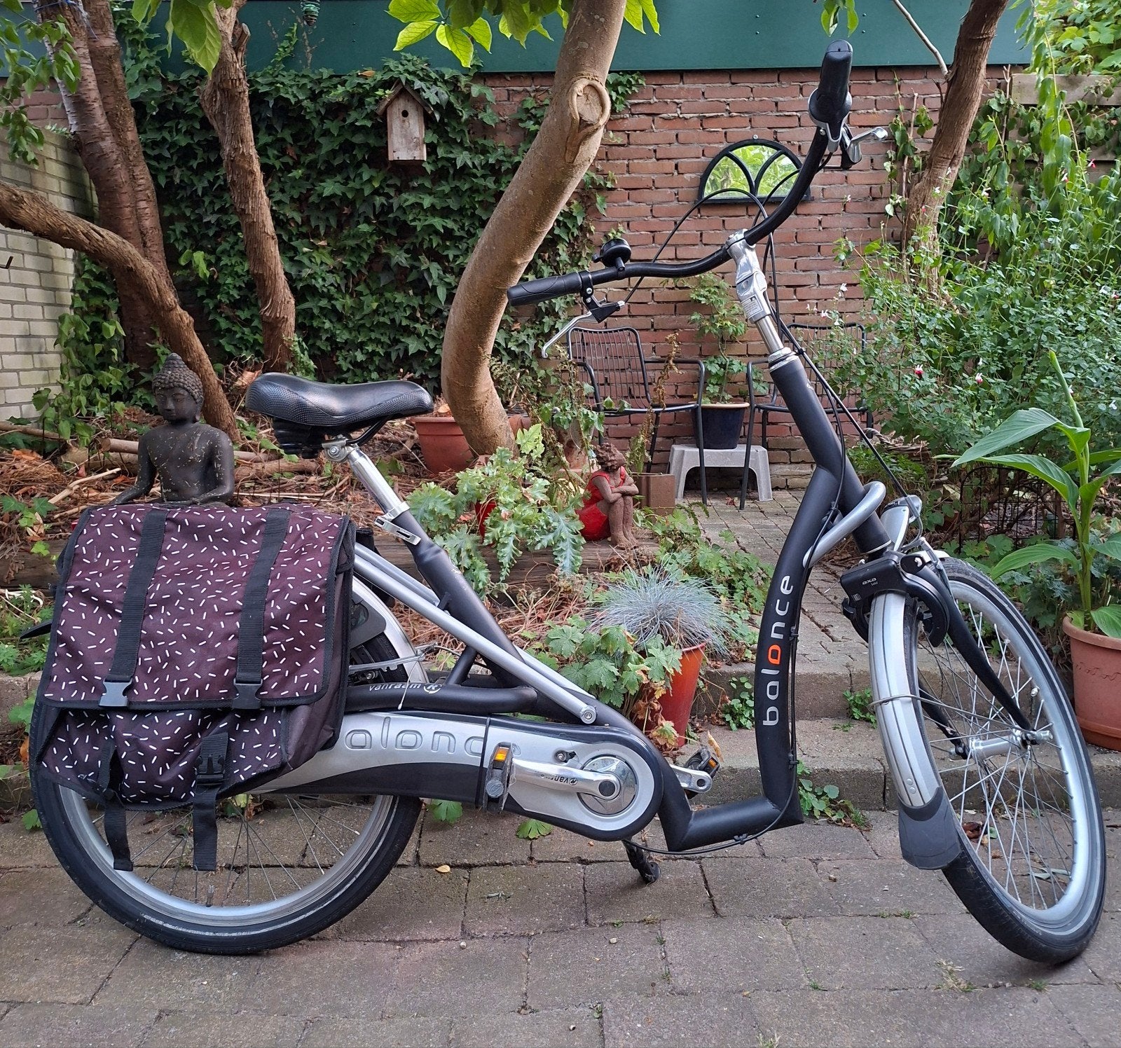 Van Raam Balance lage instapfiets met 5 versnellingen, Gebruikt, Velgrem, Versnellingen, 50 tot 53 cm
