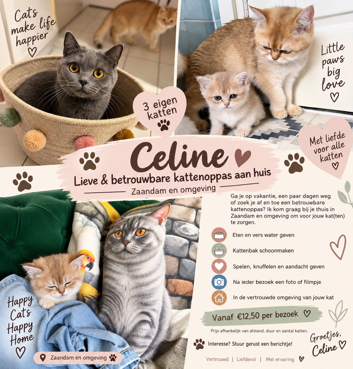 Betrouwbare kattenoppas aan huis – Zaandam