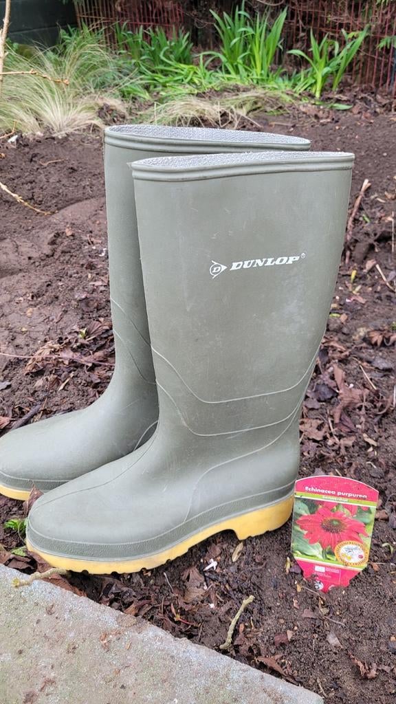 Dunlop Groene Rubberen Laarzen - Maat 37, Ophalen, Gebruikt, Dames, Laarzen