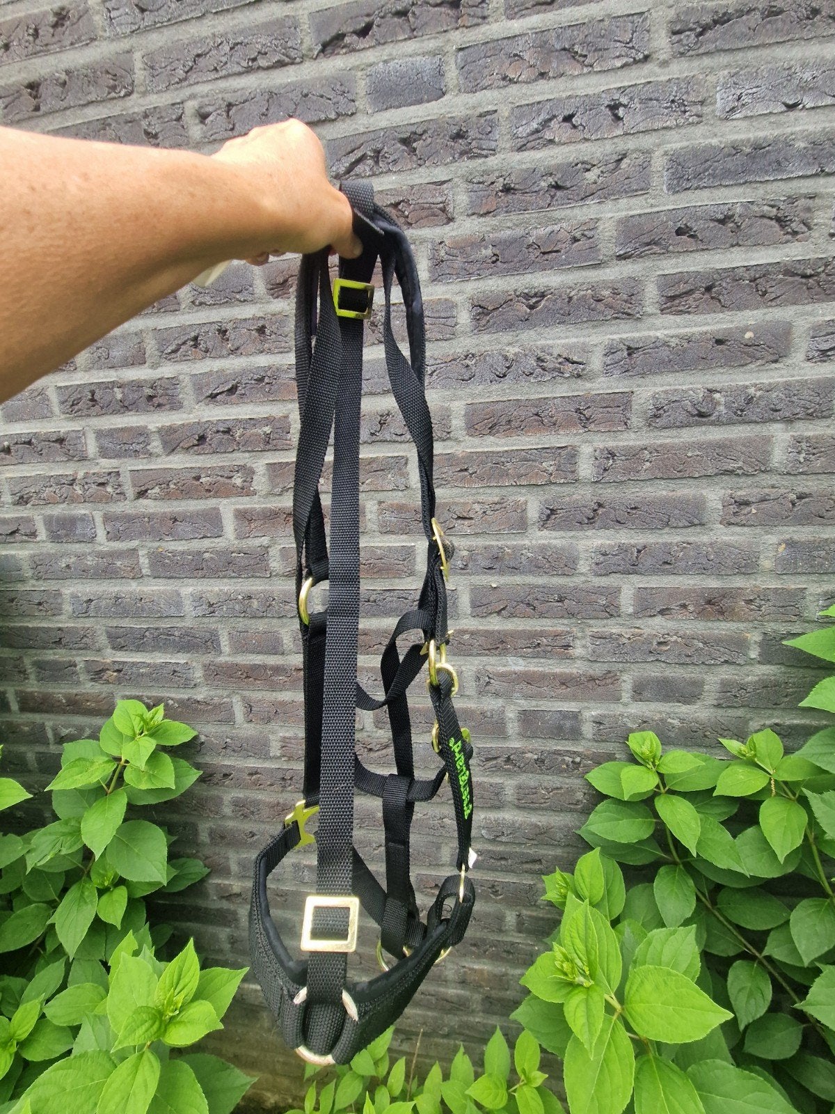 Greenguard graaskorf en halster maat full, Ophalen of Verzenden, Overige soorten