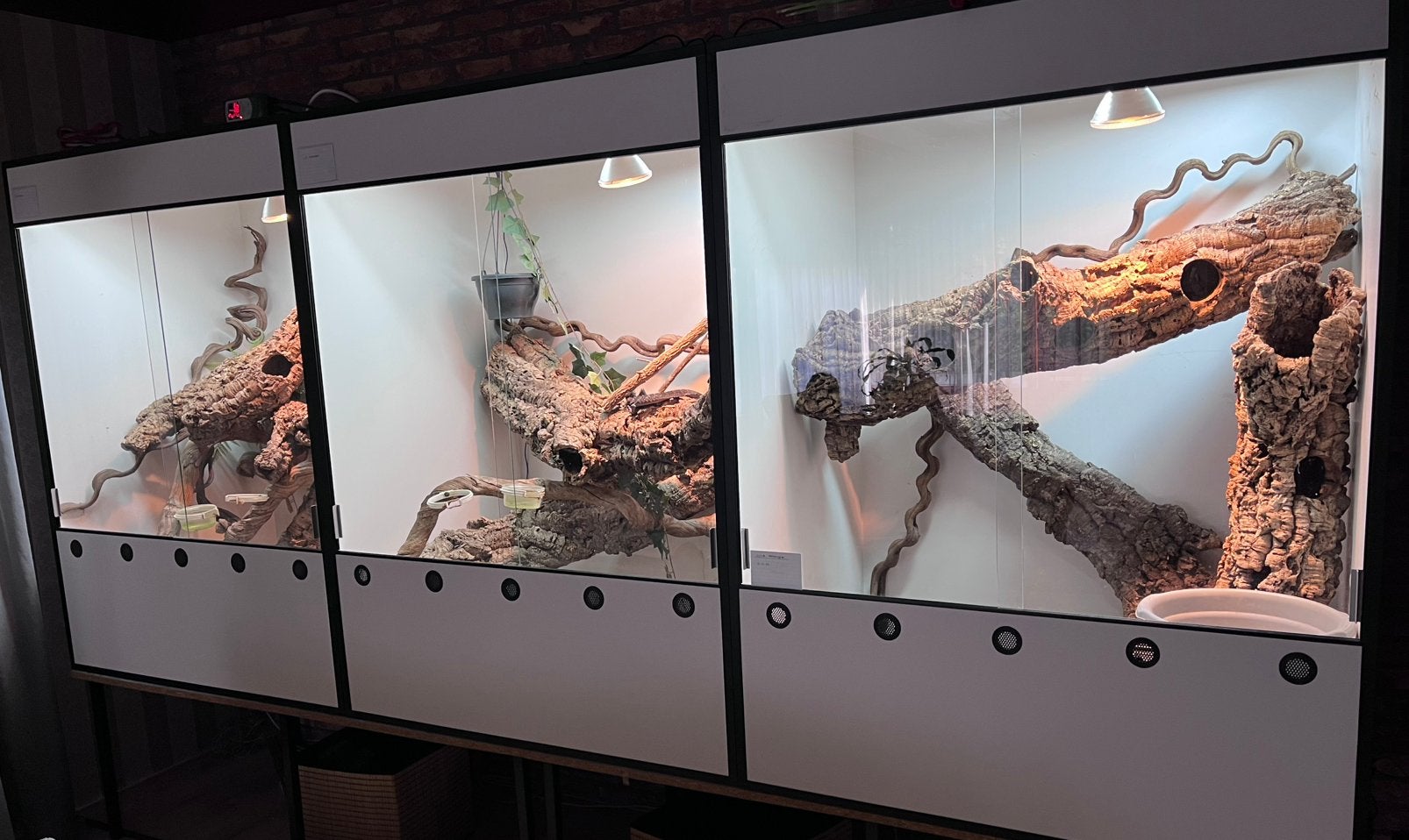 3 stuks hoogwaardig kunststof kwaliteit terrariums, Dieren en Toebehoren, Ophalen, Zo goed als nieuw