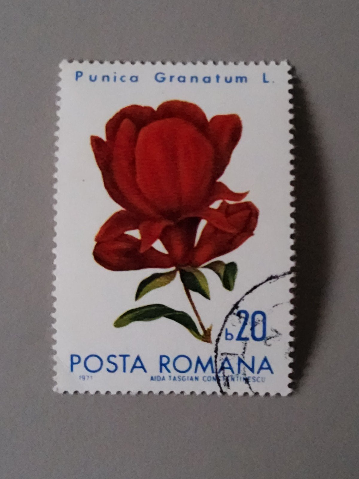 Postzegel Roemenië 1971 - Punica Granatum L. (Granaatappel), Verzenden